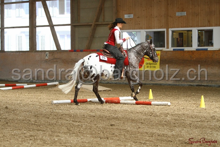 26-ApHC GT_025.jpg